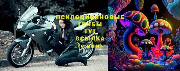 соль курить ск Михайловка