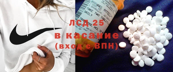 ECSTASY Кедровый